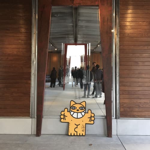 MrChat-sourire