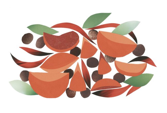 collage_alain_passard